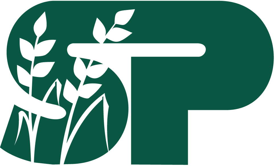 Standard Process Icon